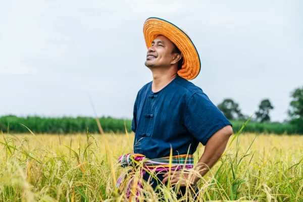 portrait-young-handsome-farmer-rice-field-he-wearing-straw-hat-he-standing-waist